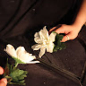 Meet your Posher, Amelie